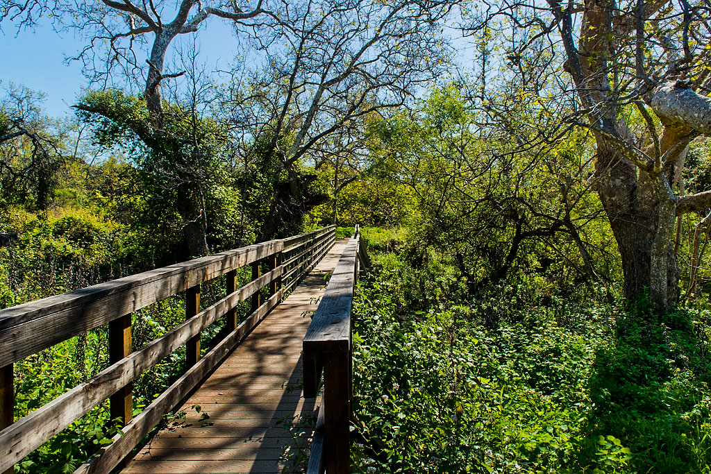 California State Parks