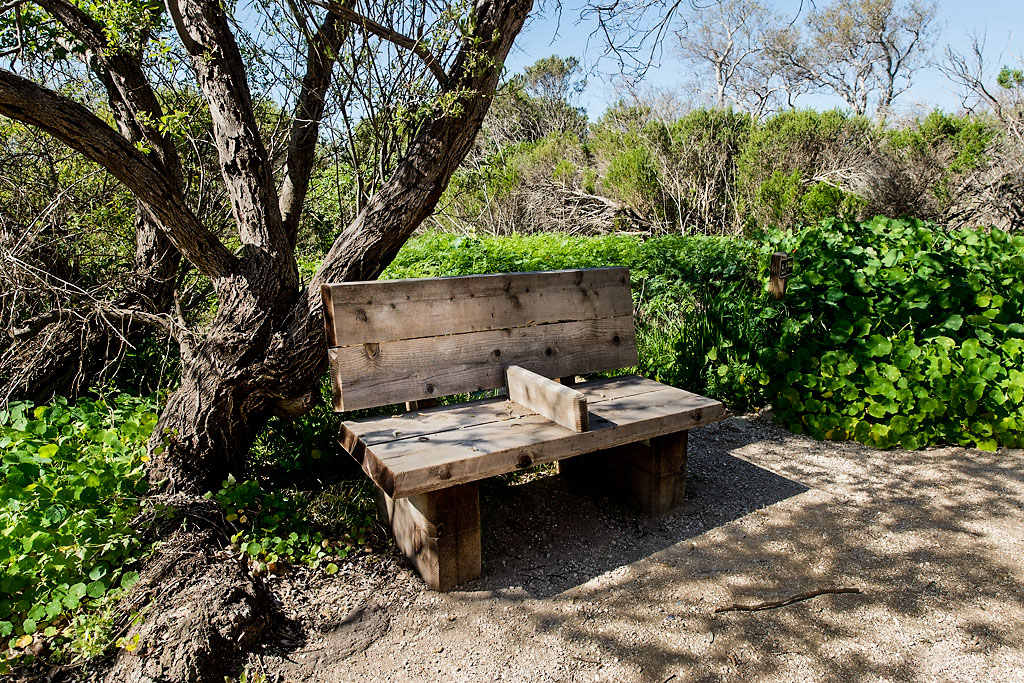 California State Parks