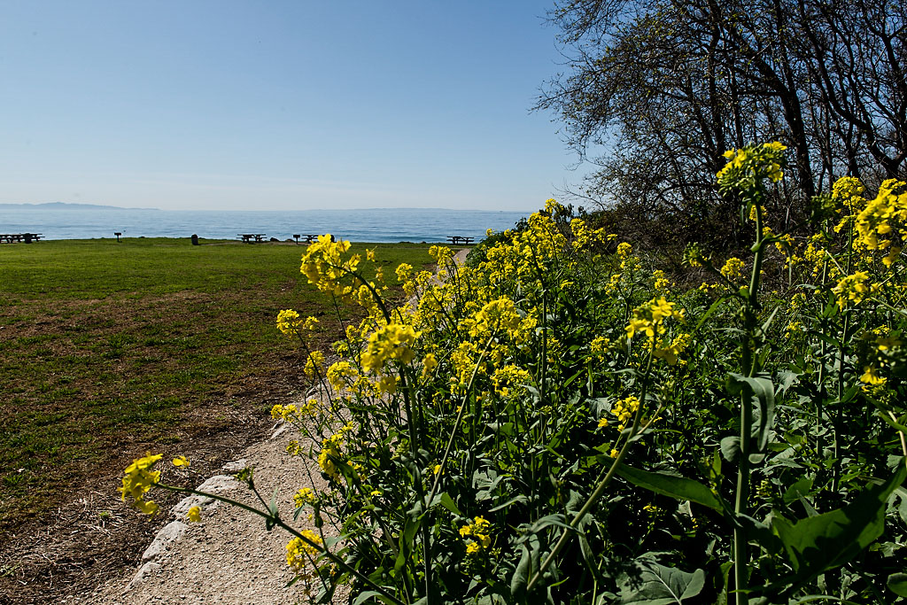 El Capitan State Beach Campground