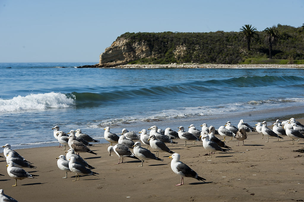 California State Parks