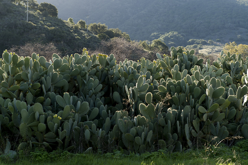 California State Parks