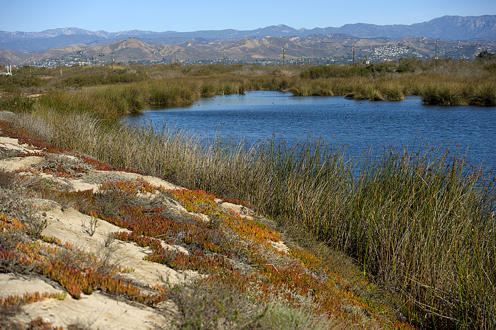 California State Parks