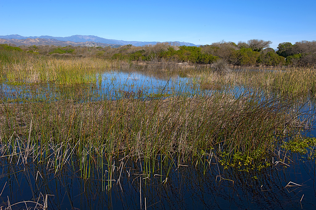 California State Parks