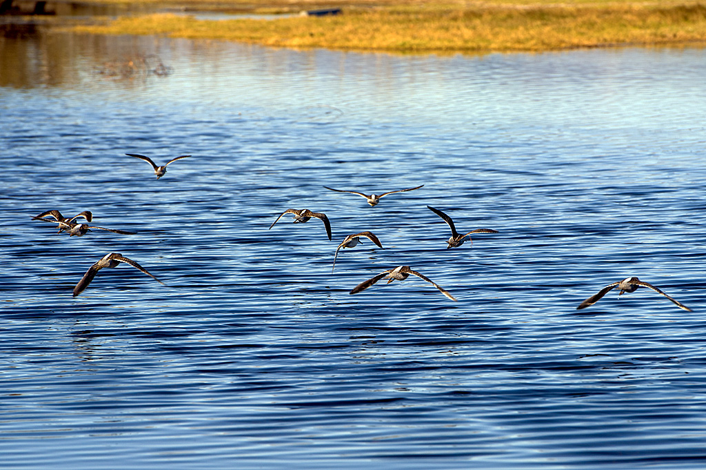 California State Parks