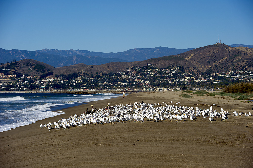 California State Parks