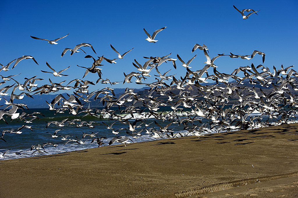California State Parks