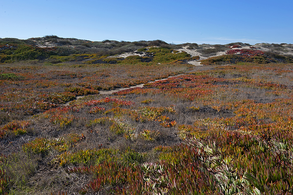 California State Parks