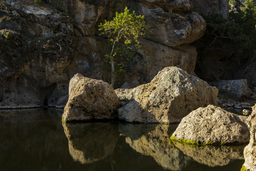 Malibu Creek State Park Campground