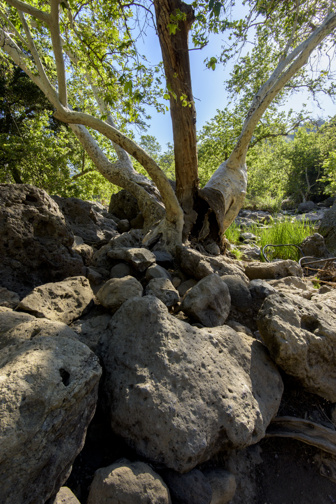 Malibu Creek State Park Campground