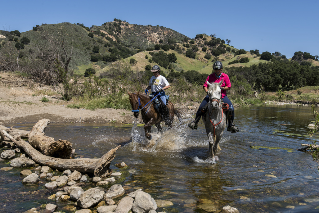 Malibu Creek State Park Campground