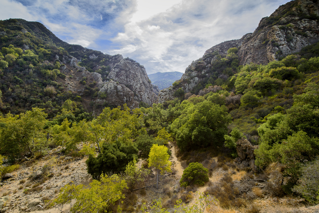 Malibu Creek State Park Campground