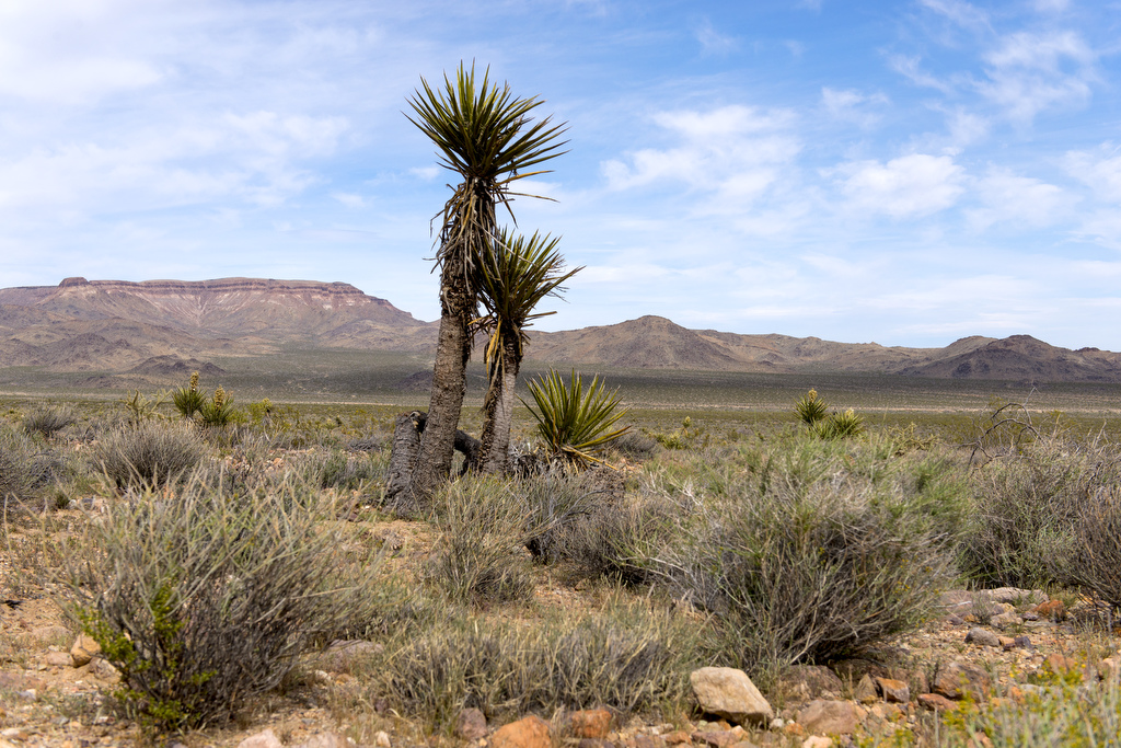 California State Parks