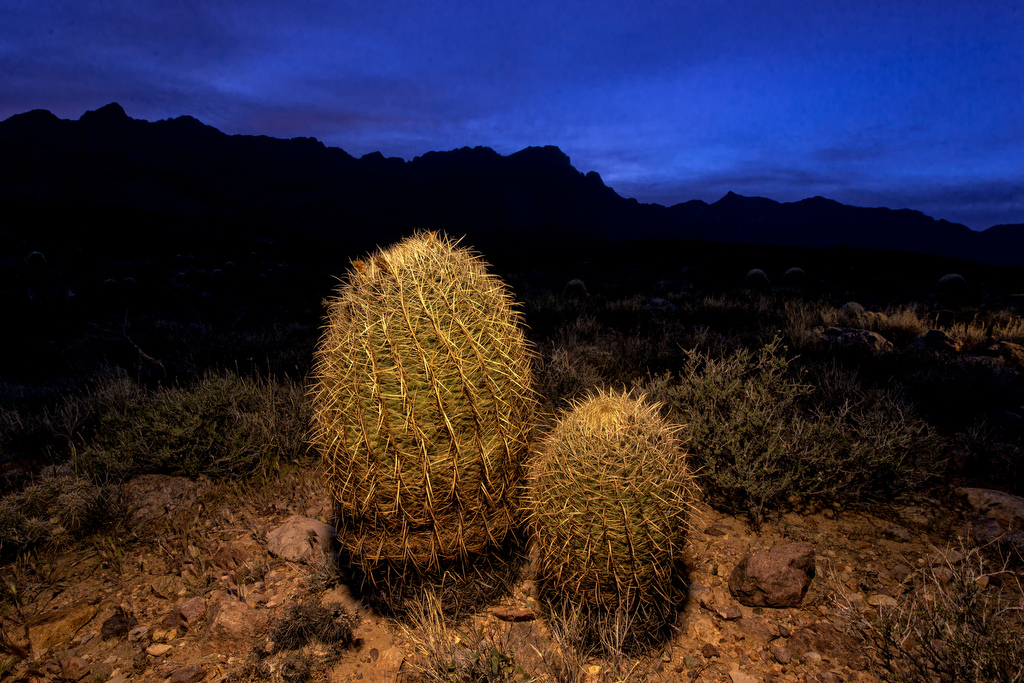 California State Parks