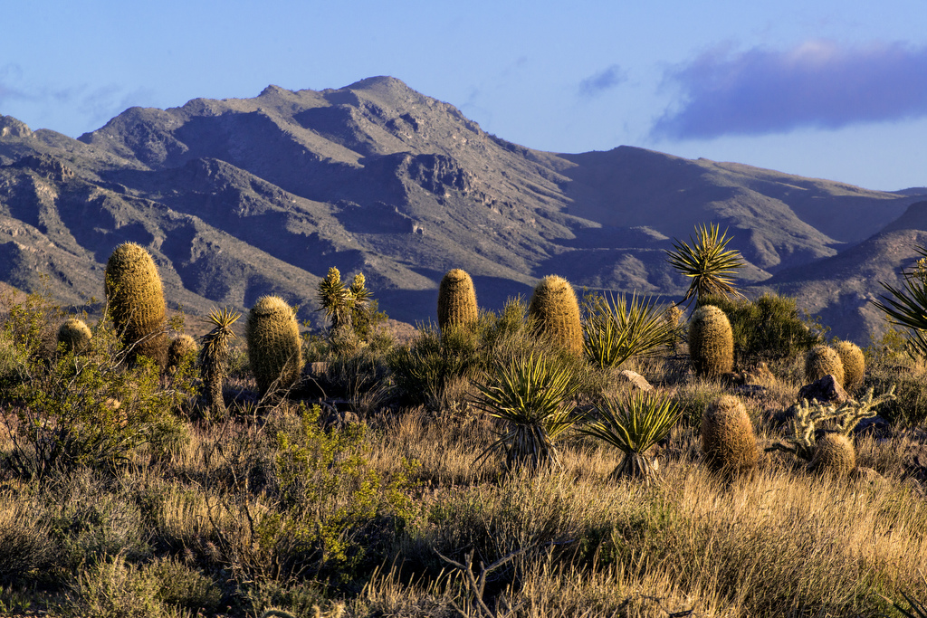 California State Parks