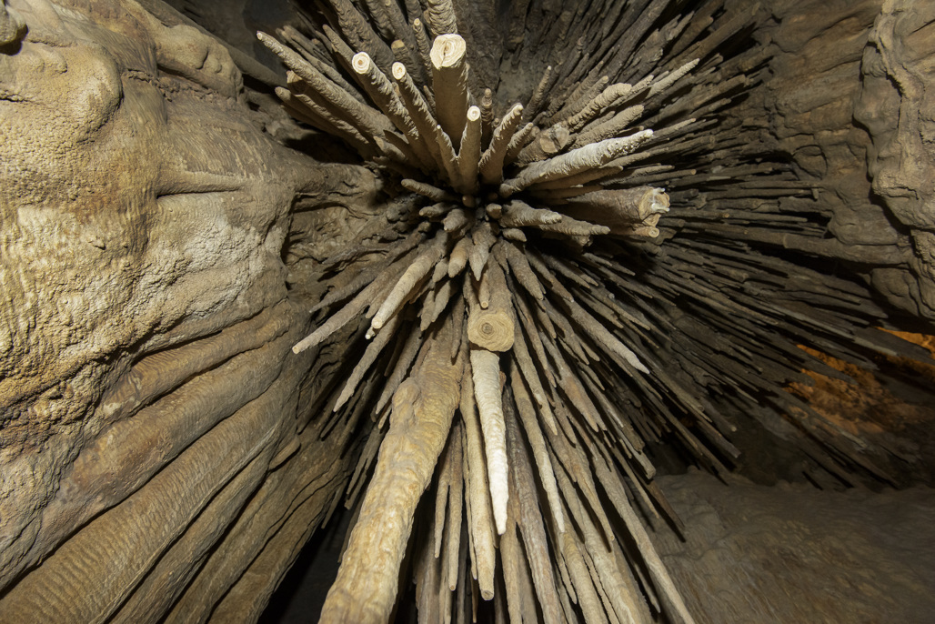 California State Parks