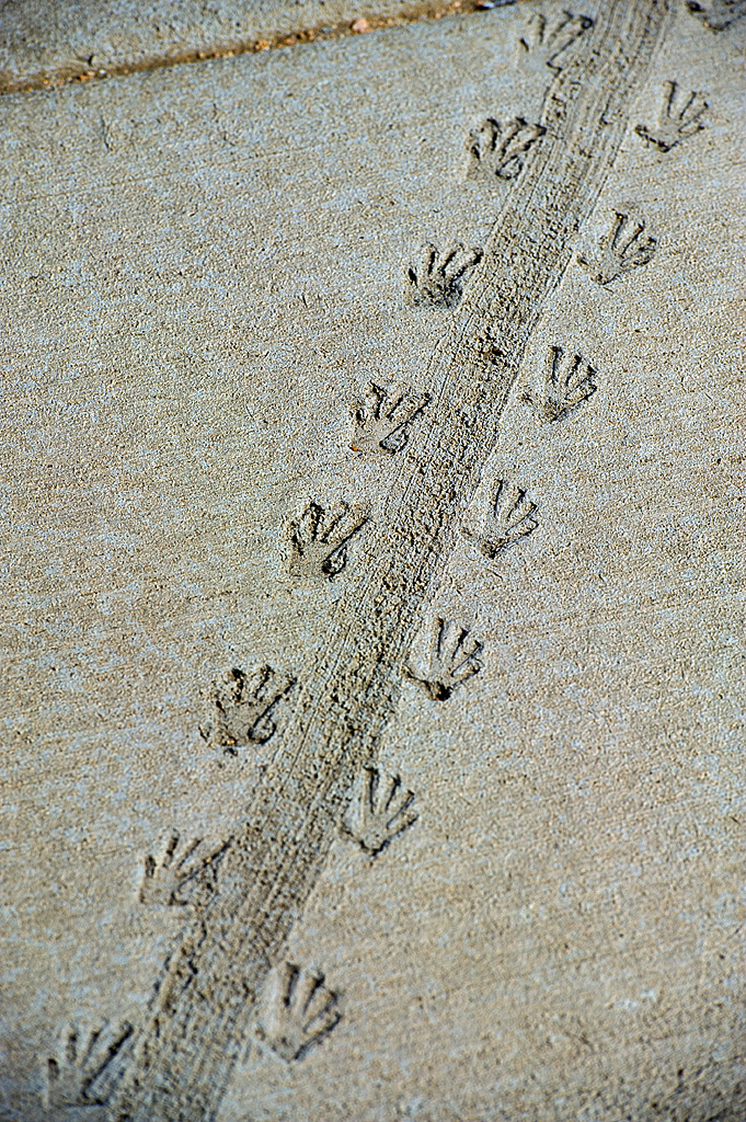 California State Parks