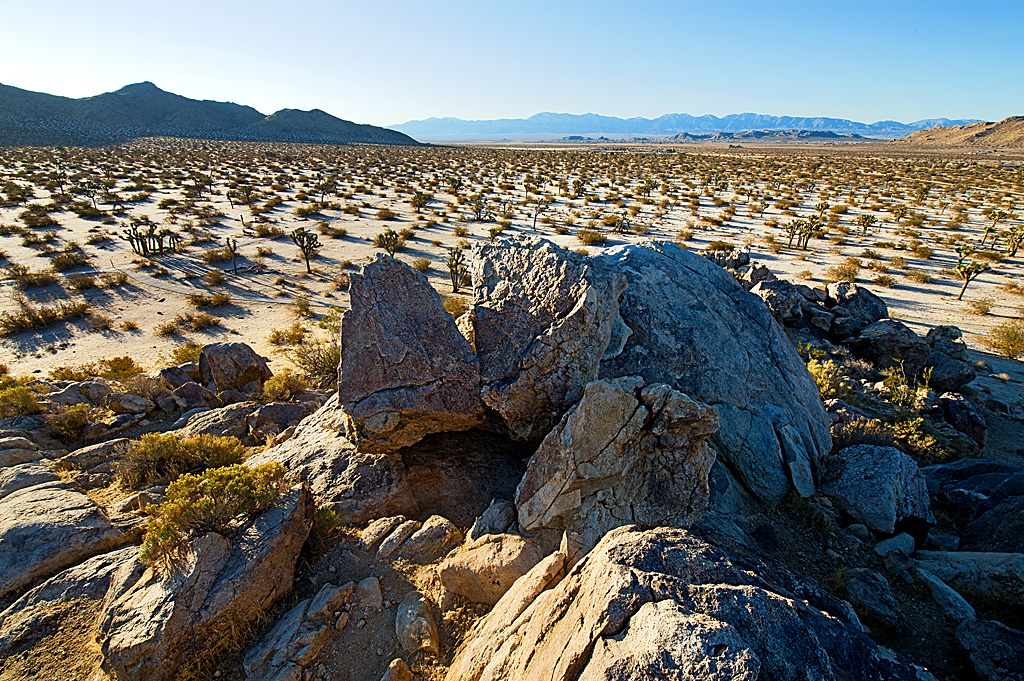 Saddleback Butte State Park Campground