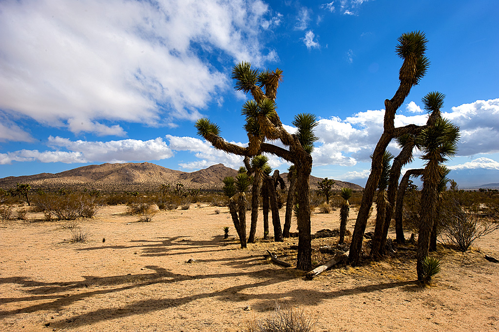 Saddleback Butte State Park Campground