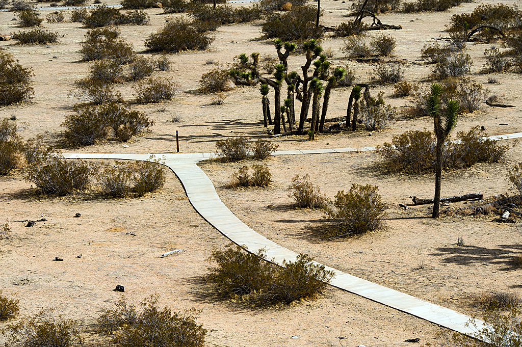 Saddleback Butte State Park Campground