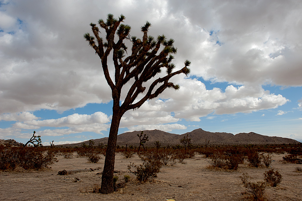 Saddleback Butte State Park Campground