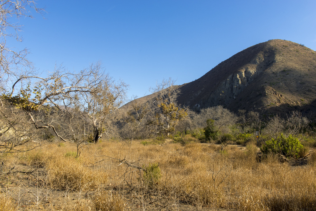 Point Mugu-La Jolla Walk-In Campground