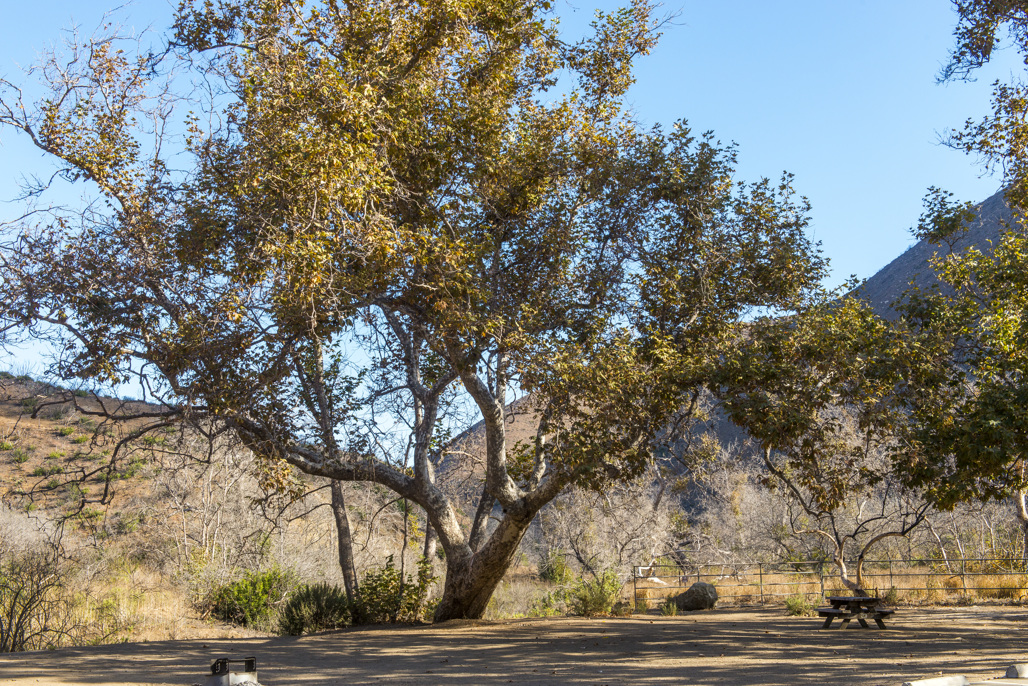 Danielson Campground