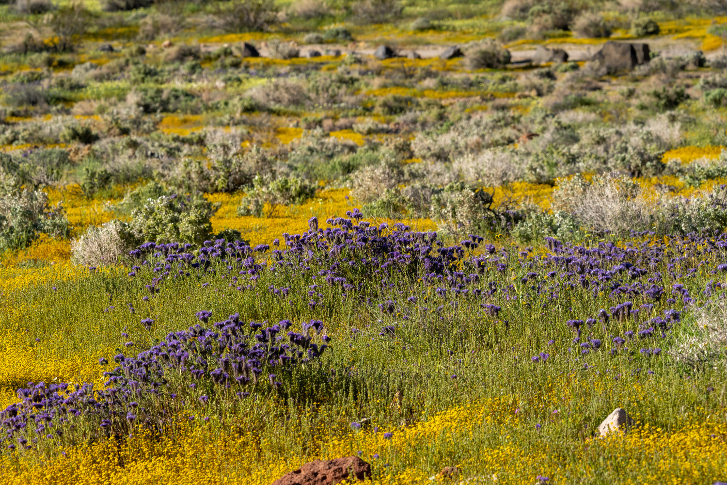 California State Parks