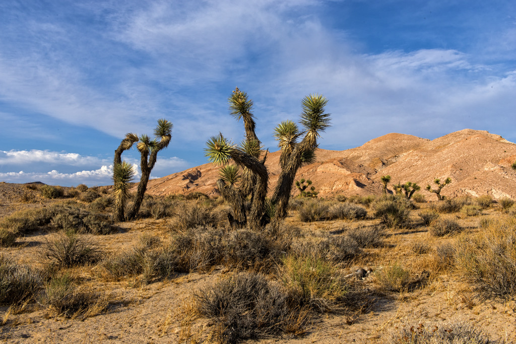 California State Parks