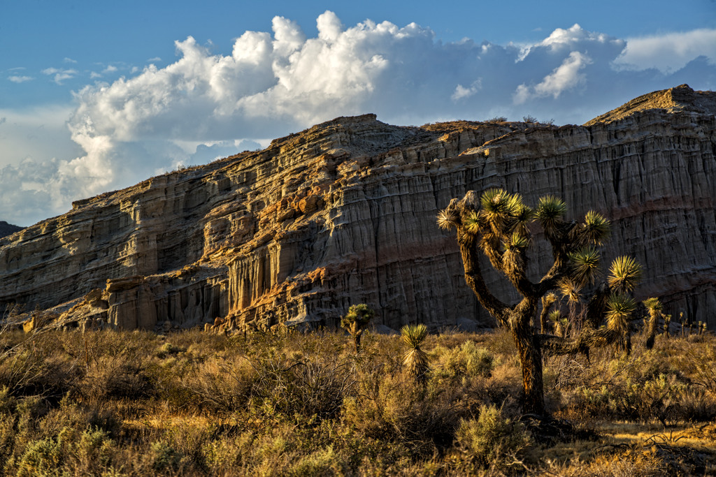 California State Parks