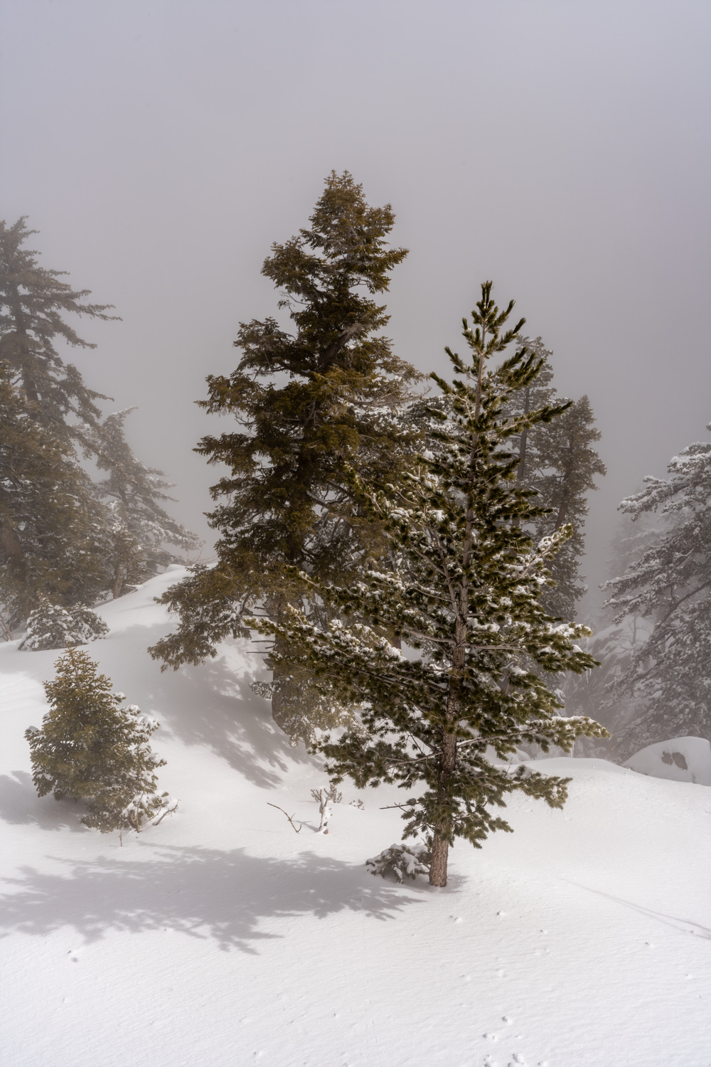 California State Parks