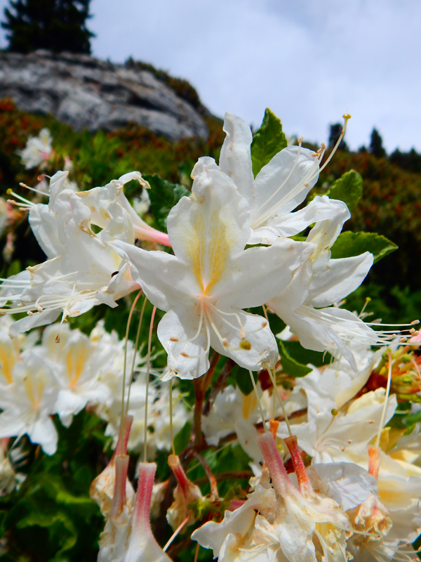 Stone Creek Campground