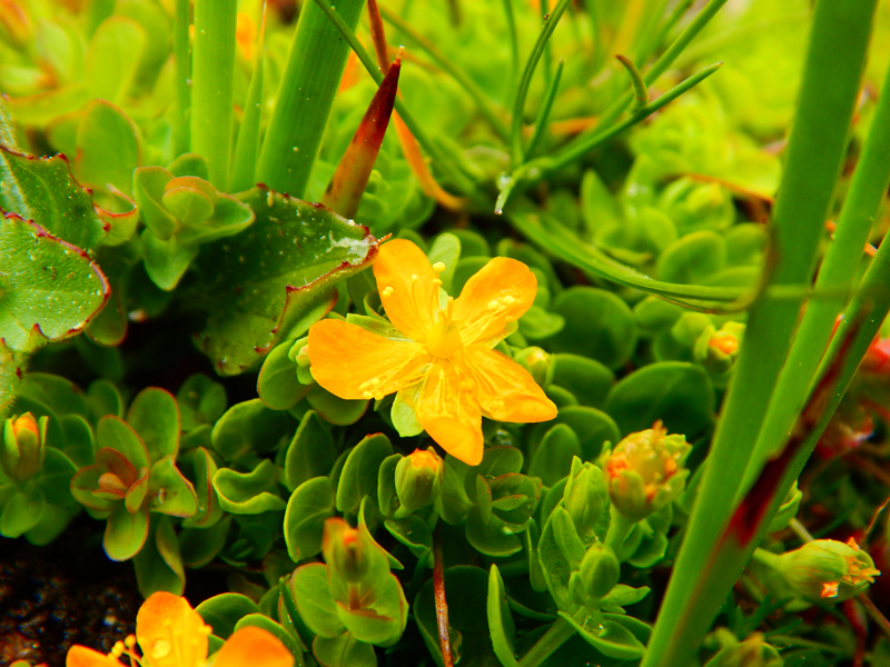 Round Valley Campground