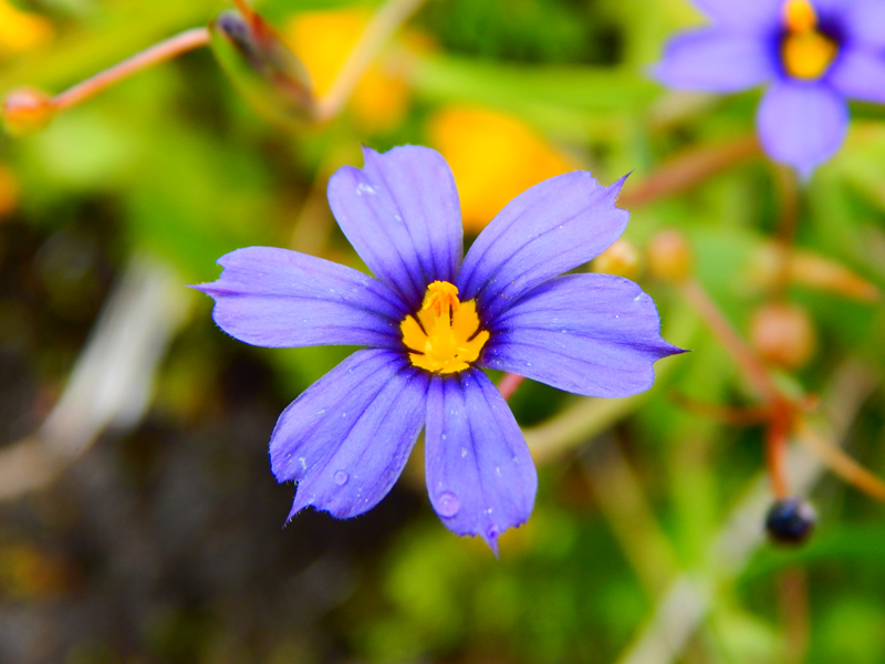 Stone Creek Campground