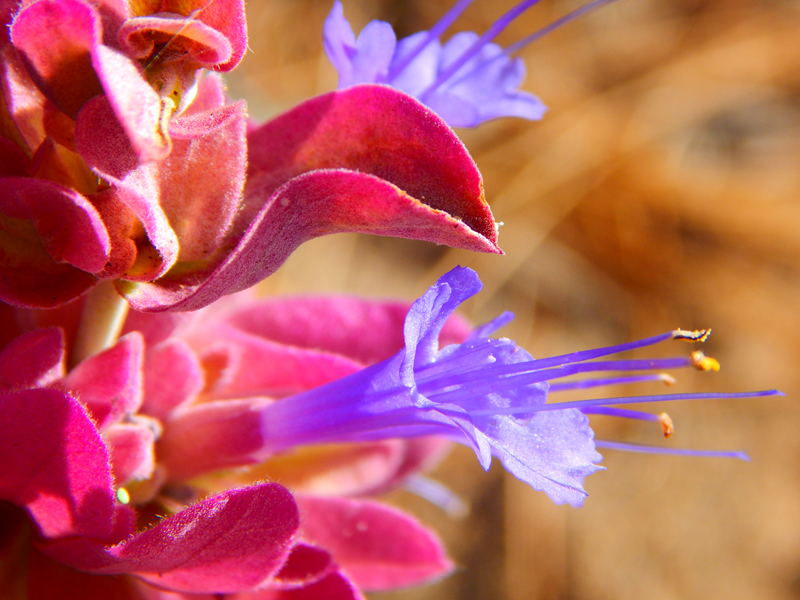 Little Round Valley Campground