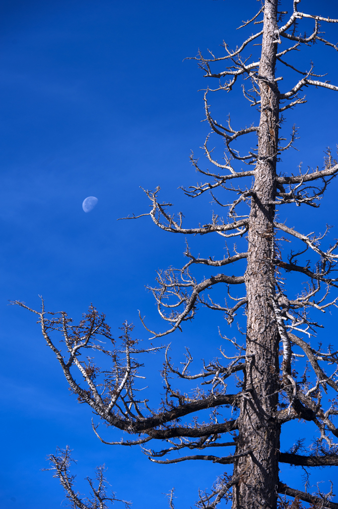 Little Round Valley Campground