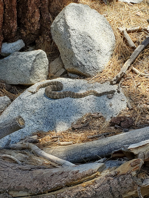 California State Parks