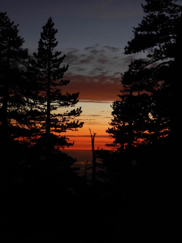 Idyllwild Campground