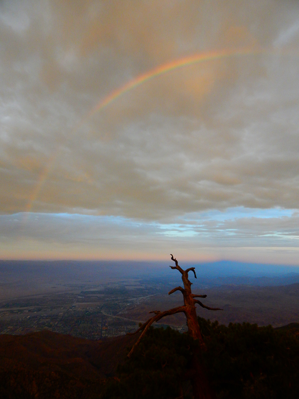 California State Parks