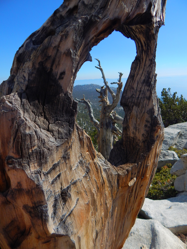 California State Parks