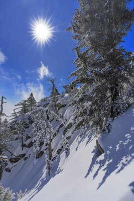 California State Parks