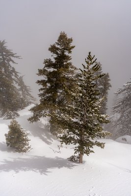 California State Parks