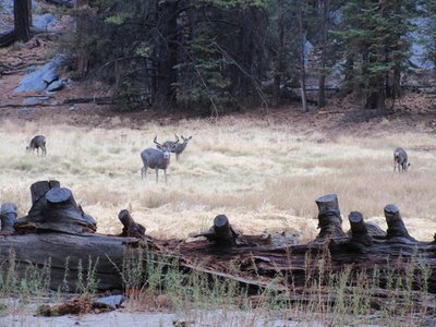 California State Parks