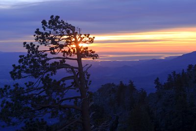 California State Parks