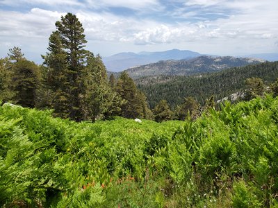 Little Round Valley Campground