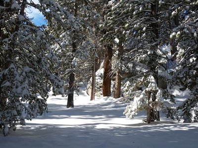 Little Round Valley Campground