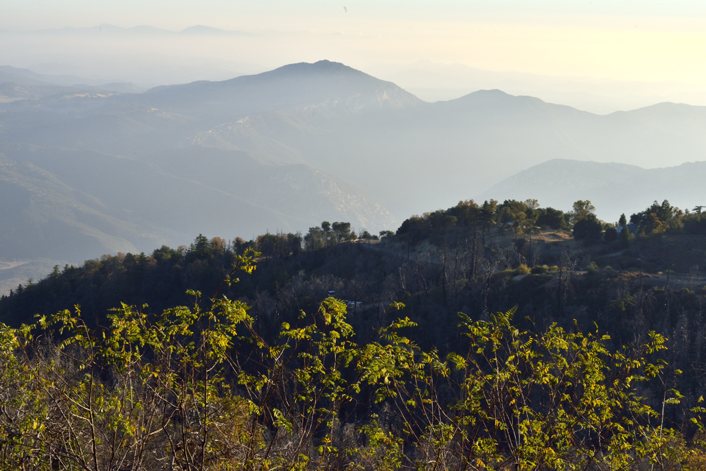 Palomar Mountain State Park Campground