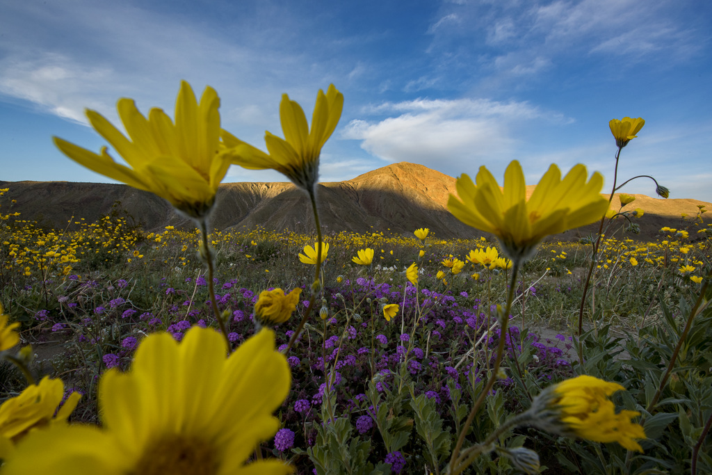 California State Parks