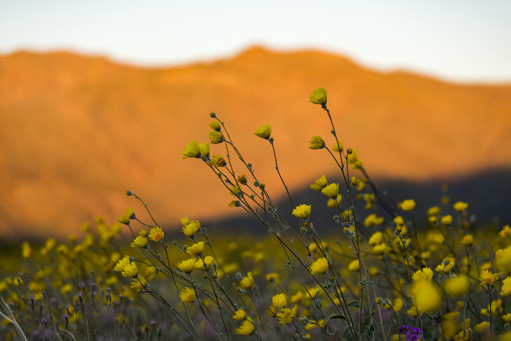 California State Parks