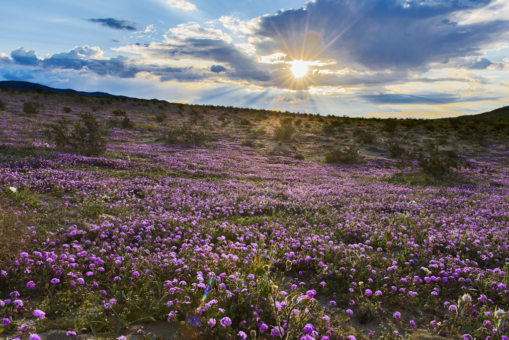 California State Parks