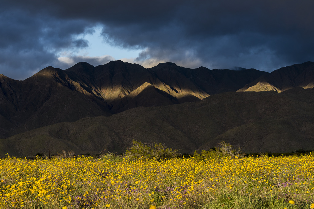 California State Parks